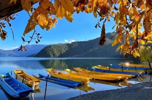 A famous scenic spot in Yunnan, once featured in elementary school Chinese textbooks, tickets are not required, but few people know.
