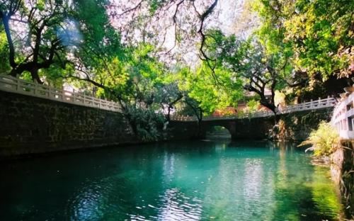 A famous scenic spot in Yunnan, once featured in elementary school Chinese textbooks, tickets are not required, but few people know.