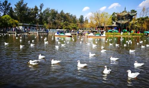 A famous scenic spot in Yunnan, once featured in elementary school Chinese textbooks, tickets are not required, but few people know.