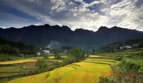 Why does this modest Tier 3 city in Henan Province carry honorary title of "Permanently Liveable City"?