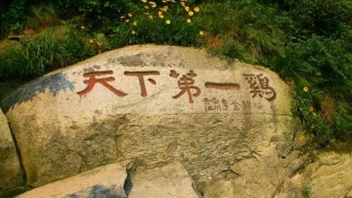 Why does this modest Tier 3 city in Henan Province carry honorary title of "Permanently Liveable City"?