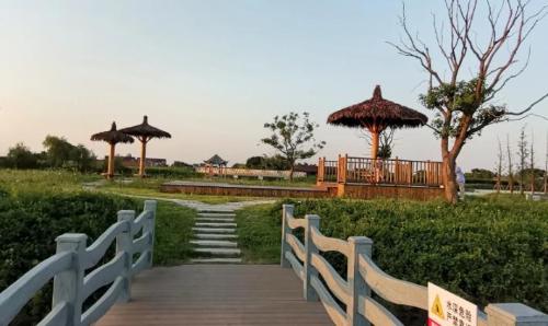 Shanghai has a new "Green Space Giant", which is equivalent to parks of the 26th century. Citizens: looking forward to it