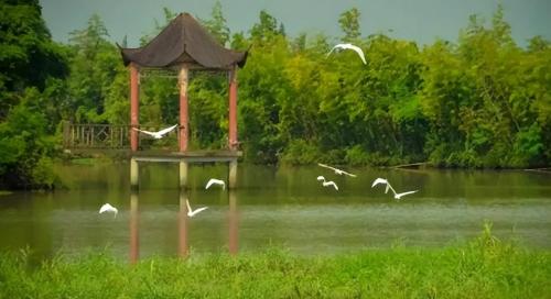 Shanghai has a new "Green Space Giant", which is equivalent to parks of the 26th century. Citizens: looking forward to it