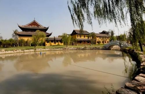Shanghai temple of "Conscience", free Lenten meals, courtyard is full of zen, but little known.
