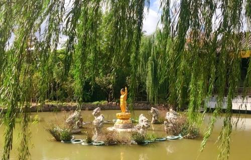 Shanghai temple of "Conscience", free Lenten meals, courtyard is full of zen, but little known.