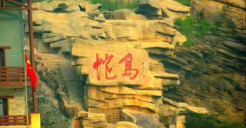 Dalian's "Snake Island" covers an area of ​​less than one square kilometer, but there are 20,000 poisonous snakes hidden in it, where do they come from?
