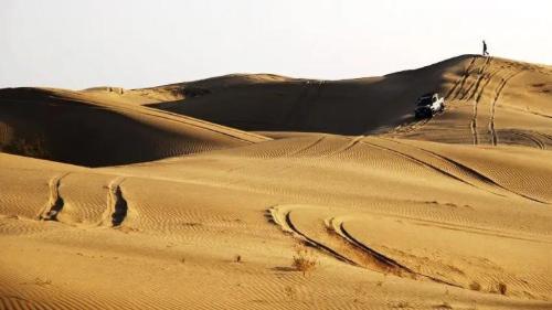 Desert Fight Miracle? China's first disappearing desert is larger than Hainan Island, and 80% of its territory has turned into an oasis
