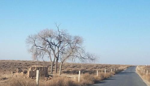 Desert Fight Miracle? China's first disappearing desert is larger than Hainan Island, and 80% of its territory has turned into an oasis
