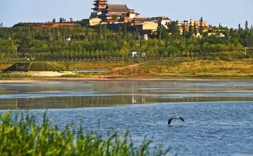 Desert Fight Miracle? China's first disappearing desert is larger than Hainan Island, and 80% of its territory has turned into an oasis
