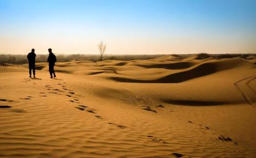 Desert Fight Miracle? China's first disappearing desert is larger than Hainan Island, and 80% of its territory has turned into an oasis
