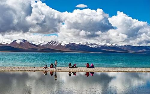 A girl traveling in Tibet saw a wild flower, took a picture and was noticed by locals: this is very valuable
