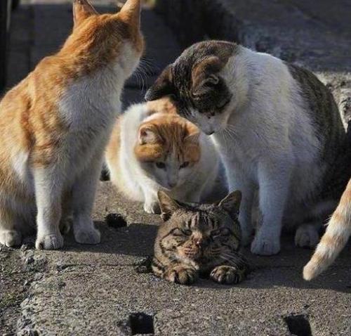 embarrassing look