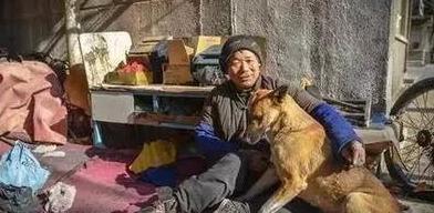 Why are dogs so devoted to their owners?
